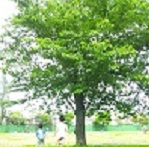 nassさんのプロフィール画像