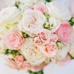 まつぼっくりぷらすさんのプロフィール画像