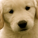 mikaさんのプロフィール画像