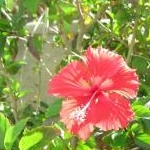 なおさんのプロフィール画像