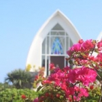 kaori * halesia さんのプロフィール画像