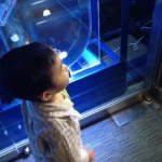 memeさんのプロフィール画像