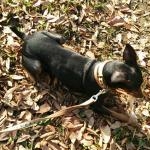 ぱんださんのプロフィール画像