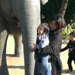 みっちーさんのプロフィール画像