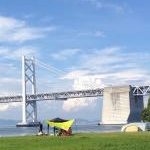 コアラさんのプロフィール画像