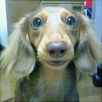 西村亨さんのプロフィール画像