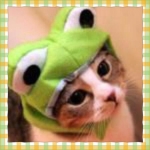 みーたんさんのプロフィール画像