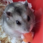 ３９６さんのプロフィール画像