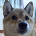 さぁきち♪さんのプロフィール画像