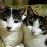 くー太郎さんのプロフィール画像