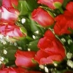 ウゥキィさんのプロフィール画像