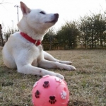 ましゃたんさんのプロフィール画像