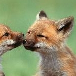 y_0*23*e*さんのプロフィール画像