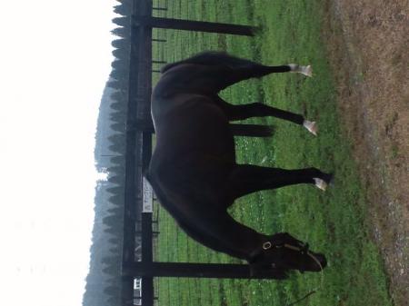 ゆうさんのプロフィール画像