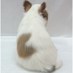 緑茶ラテさんのプロフィール画像