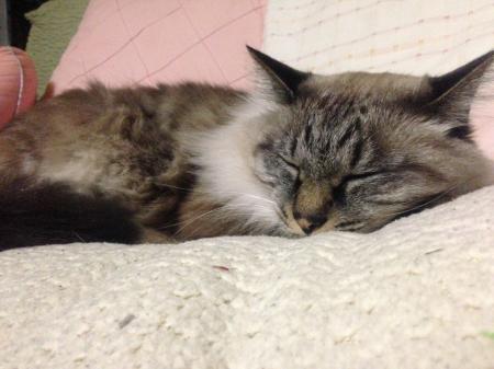 ケィとんさんのプロフィール画像