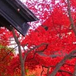 pottterさんのプロフィール画像