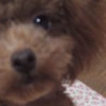 ranさんのプロフィール画像