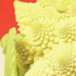 なぁぁなさんのプロフィール画像