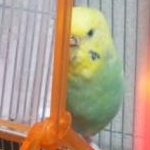 ゆちさんのプロフィール画像