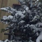 てりさんのプロフィール画像