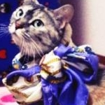 ちとささんのプロフィール画像