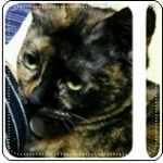 arimさんのプロフィール画像