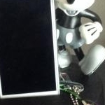 京都のおばちゃん