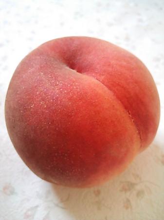 ぽんたさんのプロフィール画像