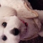 まりさんのプロフィール画像