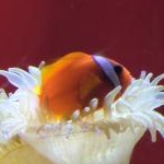 keitan16さんのプロフィール画像