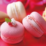 pinkmacaron