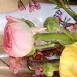 かあちゃんさんのプロフィール画像