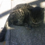 legerityさんのプロフィール画像