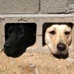 erinaさんのプロフィール画像