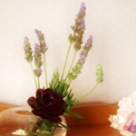 sorasoraさんのプロフィール画像