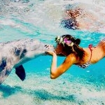 ＡＩさんのプロフィール画像