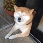 凛さんのプロフィール画像