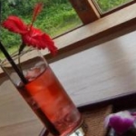 ほげさんのプロフィール画像