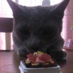 うにたくさんのプロフィール画像