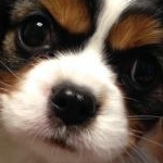 ゆーゆーさんのプロフィール画像