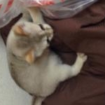 るるさんのプロフィール画像