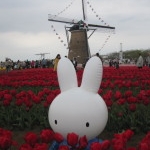 にゃろみさんのプロフィール画像