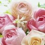 霧ねこさんのプロフィール画像