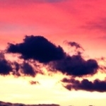 こうはくママさんのプロフィール画像