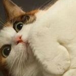 みつさんのプロフィール画像