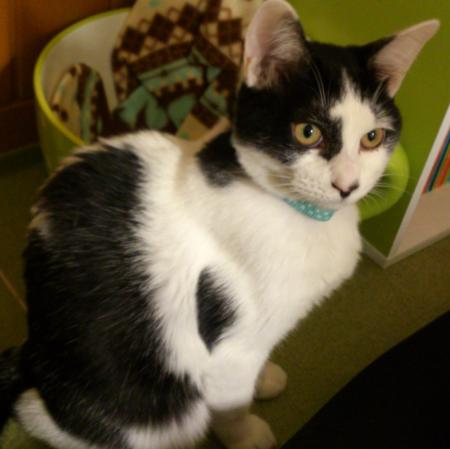 佐々木さんのプロフィール画像