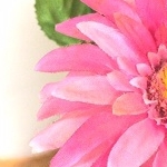 ともさんのプロフィール画像