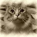 みなおさんのプロフィール画像