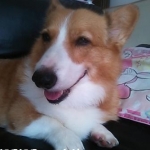 イマリンさんのプロフィール画像